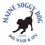 Maine soggy dog